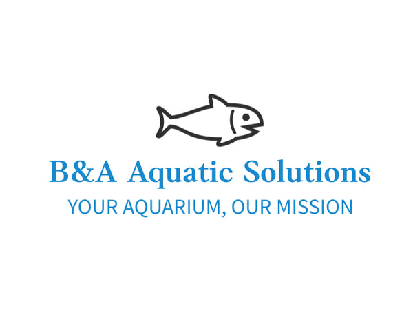 B&A Aquatic Solutions